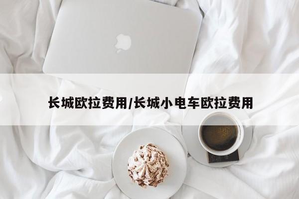 长城欧拉费用/长城小电车欧拉费用