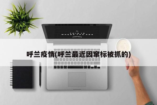 呼兰疫情(呼兰最近因窜标被抓的)